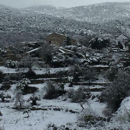 El Rincón de Arán Casa de hóspedes Lecina Exterior foto