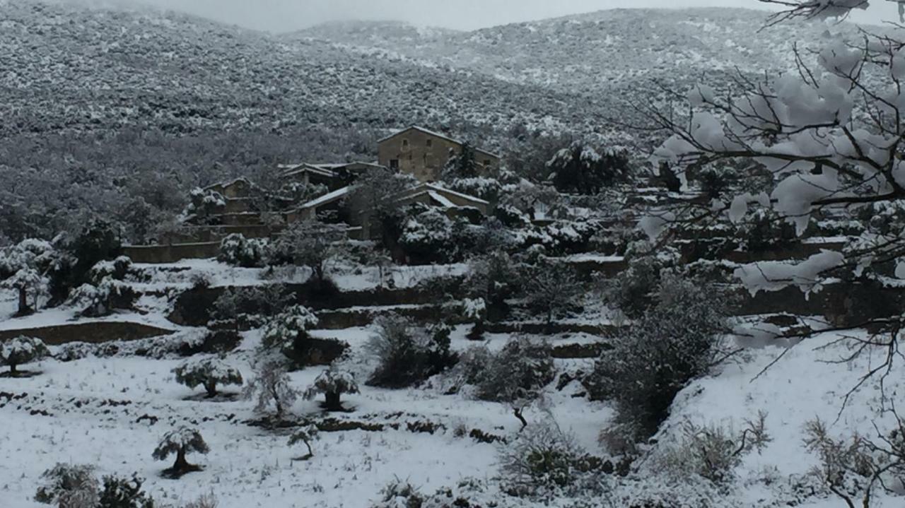 El Rincón de Arán Casa de hóspedes Lecina Exterior foto